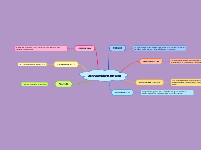 Mi Proyecto De Vida Mind Map 1306